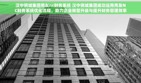 汉中钢城集团用友nc财务系统 汉中钢城集团成功运用用友NC财务系统优化流程，助力企业转型升级与提升财务管理效率