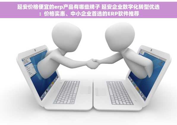 延安价格便宜的erp产品有哪些牌子 延安企业数字化转型优选：价格实惠、中小企业首选的ERP软件推荐