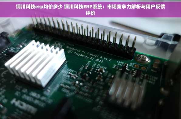 铜川科技erp均价多少 铜川科技ERP系统：市场竞争力解析与用户反馈评价