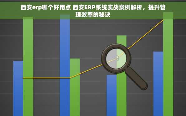 西安erp哪个好用点 西安ERP系统实战案例解析，提升管理效率的秘诀
