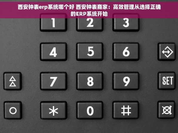 西安钟表erp系统哪个好 西安钟表商家：高效管理从选择正确的ERP系统开始