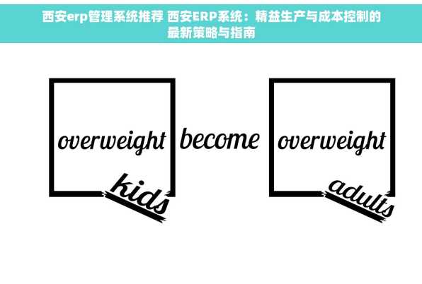 西安erp管理系统推荐 西安ERP系统：精益生产与成本控制的最新策略与指南