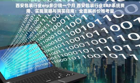 西安包装行业erp多少钱一个月 西安包装行业ERP系统费用、实施策略与购买指南：全面解析价格考量