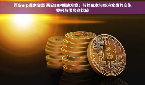 西安erp哪家实惠 西安ERP解决方案：节约成本与经济实惠的实施案例与服务商比较