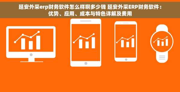 延安外采erp财务软件怎么样啊多少钱 延安外采ERP财务软件：优势、应用、成本与特色详解及费用