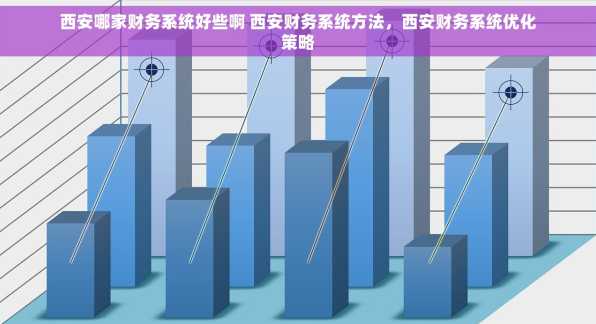 西安哪家财务系统好些啊 西安财务系统方法，西安财务系统优化策略