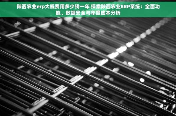 陕西农业erp大概费用多少钱一年 探索陕西农业ERP系统：全面功能、数据安全与年度成本分析
