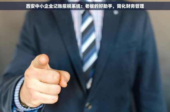 西安中小企业记账报税系统：老板的好助手，简化财务管理