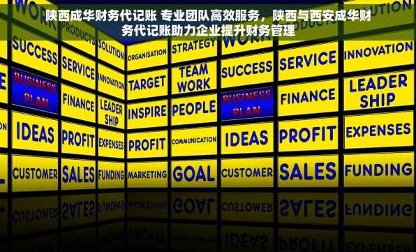 陕西成华财务代记账 专业团队高效服务，陕西与西安成华财务代记账助力企业提升财务管理