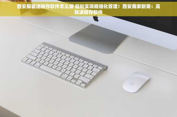 西安服装进销存软件怎么做 轻松实现精细化管理！西安商家新宠：高效进销存软件