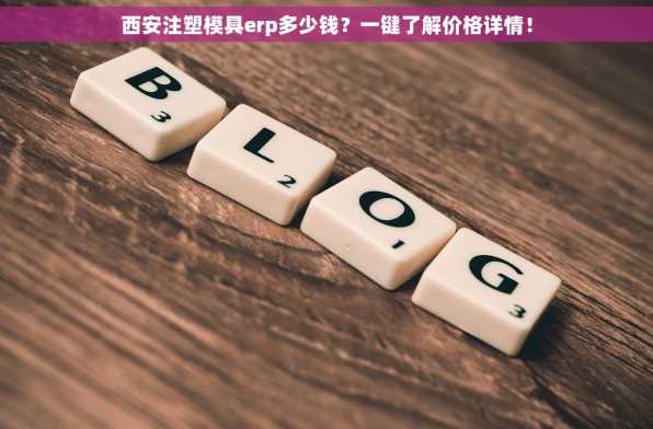 西安注塑模具erp多少钱？一键了解价格详情！