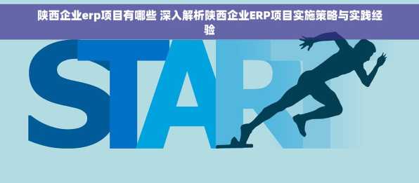 陕西企业erp项目有哪些 深入解析陕西企业ERP项目实施策略与实践经验