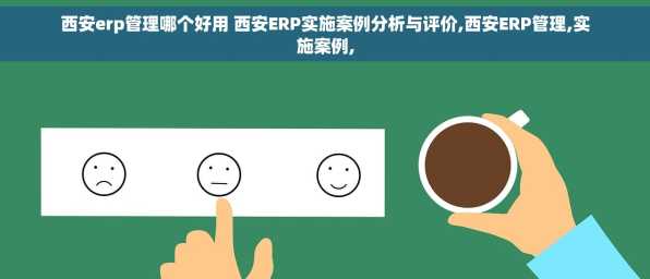 西安erp管理哪个好用 西安ERP实施案例分析与评价,西安ERP管理,实施案例,