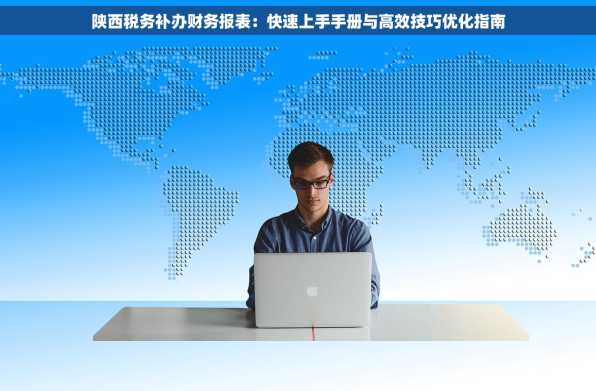 陕西税务补办财务报表：快速上手手册与高效技巧优化指南