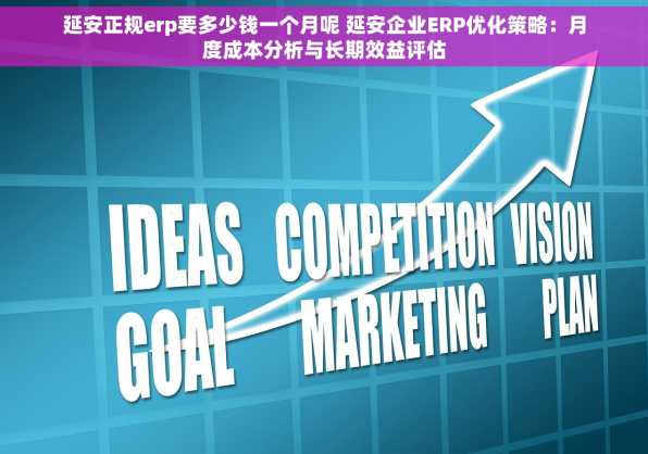 延安正规erp要多少钱一个月呢 延安企业ERP优化策略：月度成本分析与长期效益评估
