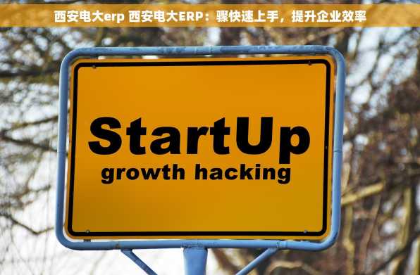 西安电大erp 西安电大ERP：骤快速上手，提升企业效率