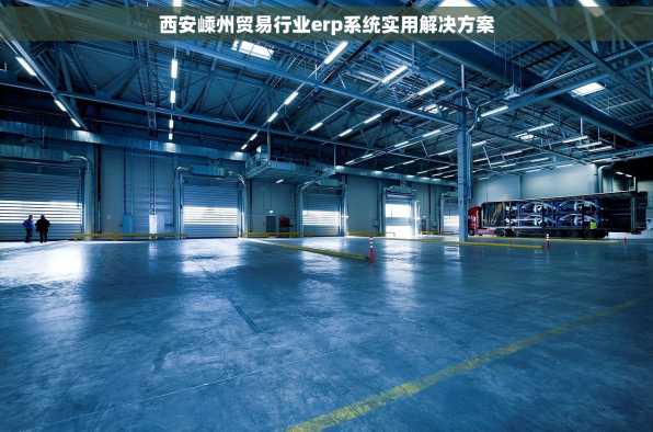 西安嵊州贸易行业erp系统实用解决方案