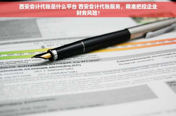 西安会计代账是什么平台 西安会计代账服务，精准把控企业财务风险！