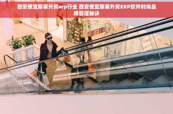 西安便宜服装外贸erp行业 西安便宜服装外贸ERP软件时尚品牌管理秘诀