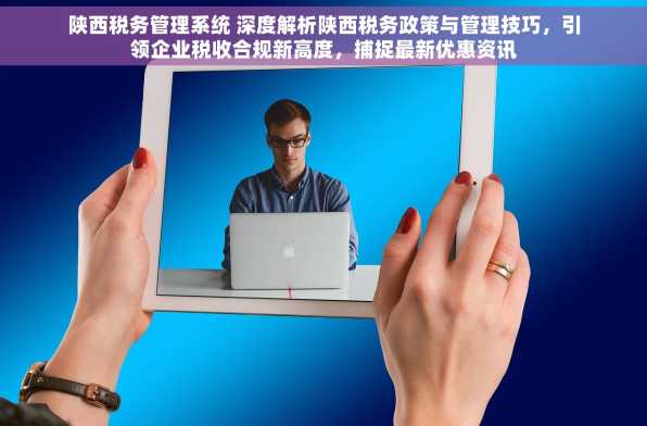 陕西税务管理系统 深度解析陕西税务政策与管理技巧，引领企业税收合规新高度，捕捉最新优惠资讯