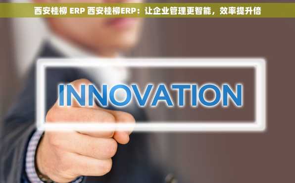 西安桂柳 ERP 西安桂柳ERP：让企业管理更智能，效率提升倍