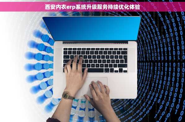 西安内衣erp系统升级服务持续优化体验