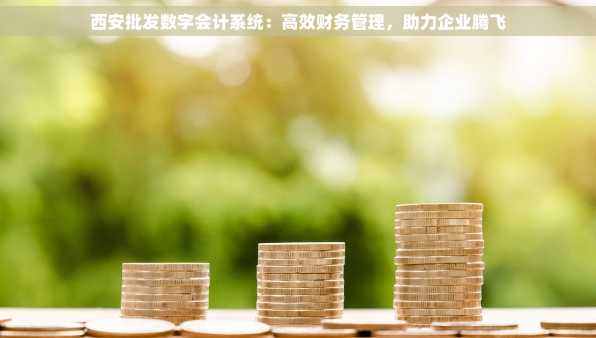 西安批发数字会计系统：高效财务管理，助力企业腾飞