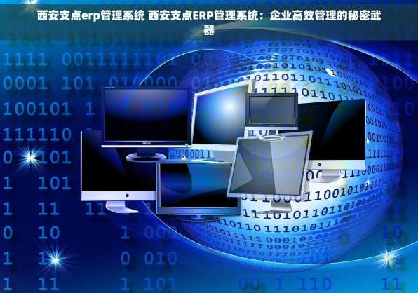 西安支点erp管理系统 西安支点ERP管理系统：企业高效管理的秘密武器