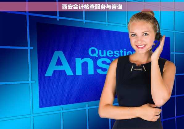西安会计核查服务与咨询