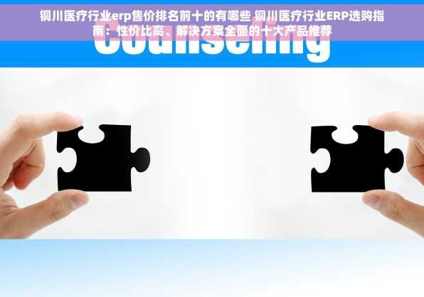 铜川医疗行业erp售价排名前十的有哪些 铜川医疗行业ERP选购指南：性价比高、解决方案全面的十大产品推荐