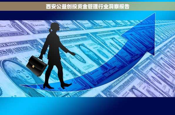 西安公益创投资金管理行业洞察报告