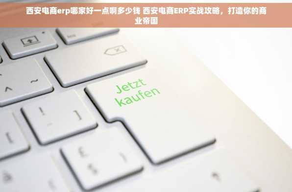 西安电商erp哪家好一点啊多少钱 西安电商ERP实战攻略，打造你的商业帝国