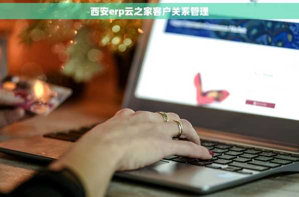 西安erp云之家客户关系管理