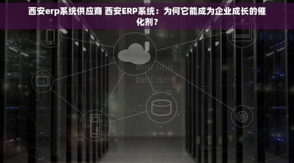 西安erp系统供应商 西安ERP系统：为何它能成为企业成长的催化剂？