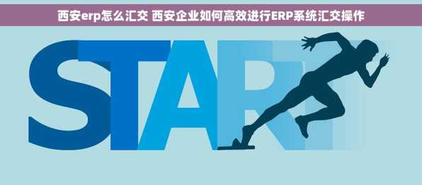 西安erp怎么汇交 西安企业如何高效进行ERP系统汇交操作