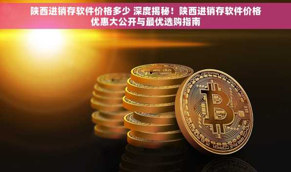 陕西进销存软件价格多少 深度揭秘！陕西进销存软件价格优惠大公开与最优选购指南