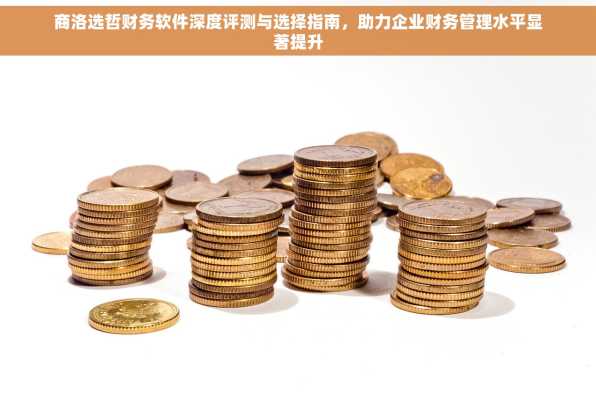 商洛选哲财务软件深度评测与选择指南，助力企业财务管理水平显著提升