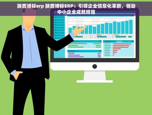 陕西博标erp 陕西博标ERP：引领企业信息化革新，驱动中小企业成就辉煌