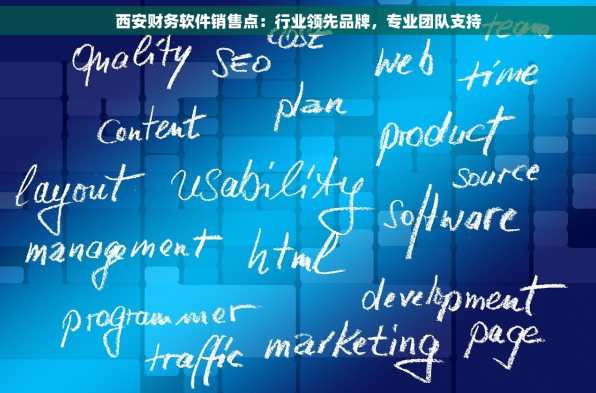 西安财务软件销售点：行业领先品牌，专业团队支持