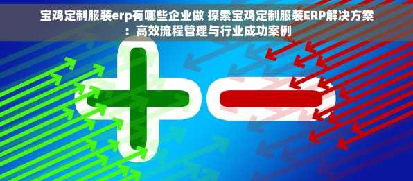 宝鸡定制服装erp有哪些企业做 探索宝鸡定制服装ERP解决方案：高效流程管理与行业成功案例