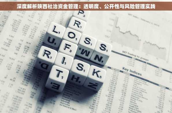 深度解析陕西社治资金管理：透明度、公开性与风险管理实践