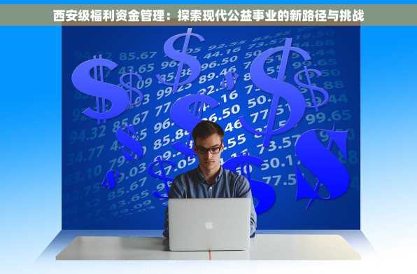 西安级福利资金管理：探索现代公益事业的新路径与挑战