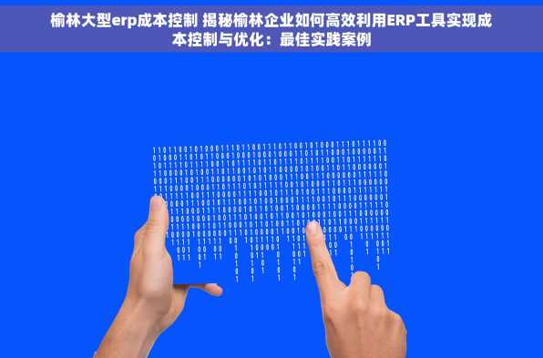 榆林大型erp成本控制 揭秘榆林企业如何高效利用ERP工具实现成本控制与优化：最佳实践案例