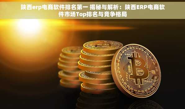 陕西erp电商软件排名第一 揭秘与解析：陕西ERP电商软件市场Top排名与竞争格局
