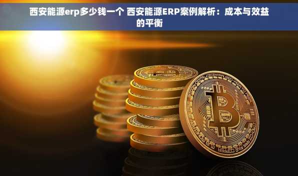 西安能源erp多少钱一个 西安能源ERP案例解析：成本与效益的平衡