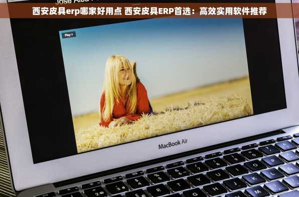 西安皮具erp哪家好用点 西安皮具ERP首选：高效实用软件推荐
