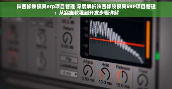 陕西橡胶模具erp项目管理 深度解析陕西橡胶模具ERP项目管理：从实施教程到开发步骤详解