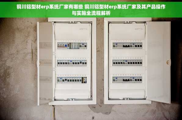 铜川铝型材erp系统厂家有哪些 铜川铝型材erp系统厂家及其产品操作与实施全流程解析
