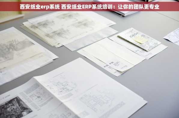 西安纸业erp系统 西安纸业ERP系统培训：让你的团队更专业