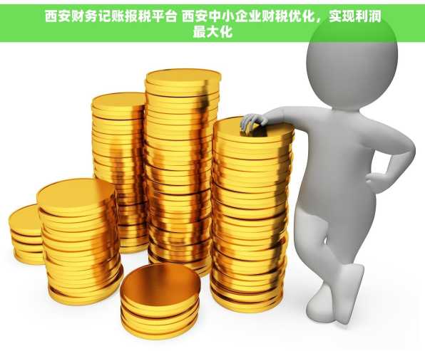 西安财务记账报税平台 西安中小企业财税优化，实现利润最大化
